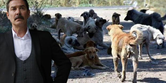Fikret Kuşkan'ın komşusuyla başı dertte!