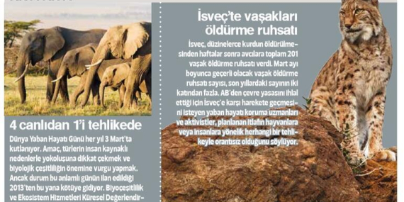 Tarla var, ziraatçi yok; ziraatçi var, traktör yok