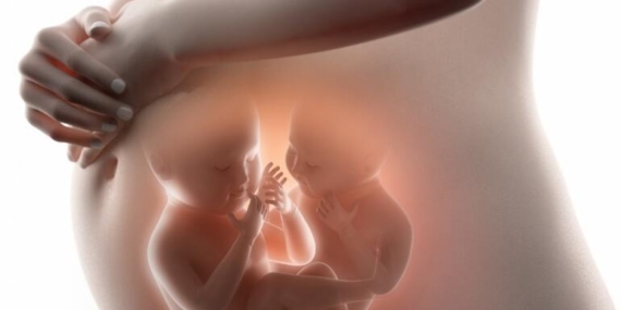 28 gün içinde iki kez hamile kaldı ve bebeklerini aynı anda doğurdu… ‘Anlattığımda insanlar çıldırmış olduğumu düşünüyor’