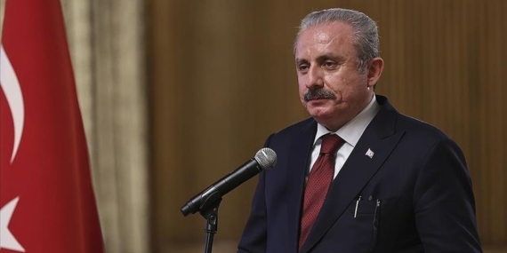 TBMM Başkanı Şentop: Hedefler ve hayaller asla esaret altına alınamaz