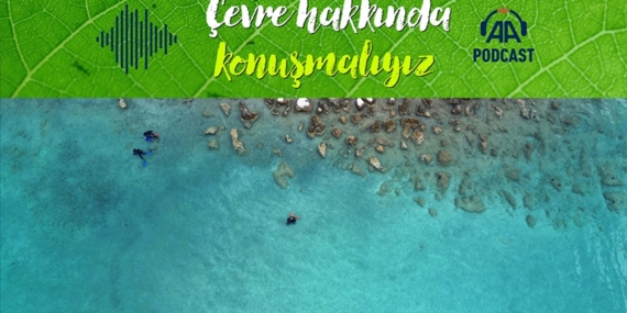 Temiz bir dünya için denizlerin temizliği ne kadar önemli?