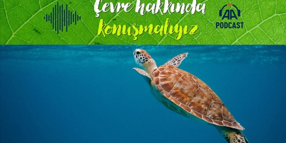Açık denizleri koruma sözleşmesi ne getirecek?