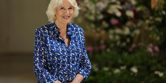 Camilla'ya eleştiri okları: Kral'a utanç getiriyorsun! Elizabeth'i mumla aradılar