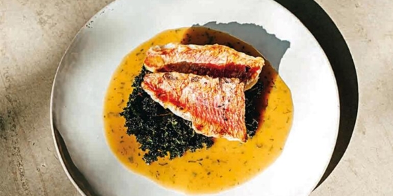 Gastronomi kazanında kaynayanlar