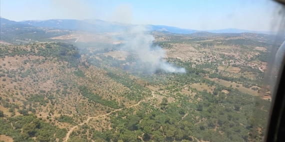 İzmir'de ormanlık alanda çıkan yangın kontrol altına alındı