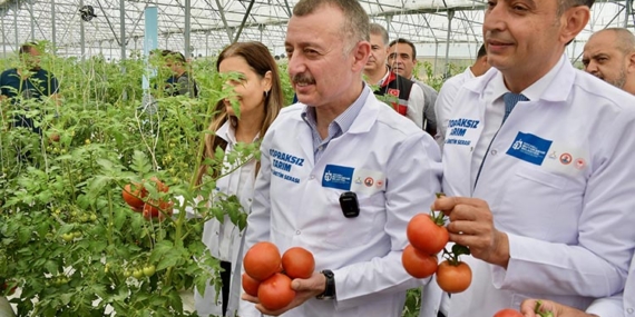 Kocaeli'de volkanik cürufla düşük maliyetli organik tarım yapılıyor