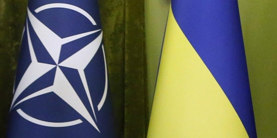 Almanya, Ukrayna'nın NATO üyeliği için doğru zaman olmadığını düşünüyor