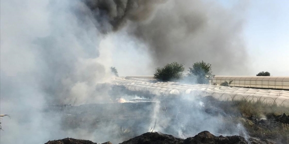 Antalya'da eski gazino binasında çıkıp seralara sıçrayan yangın kontrol altına alındı