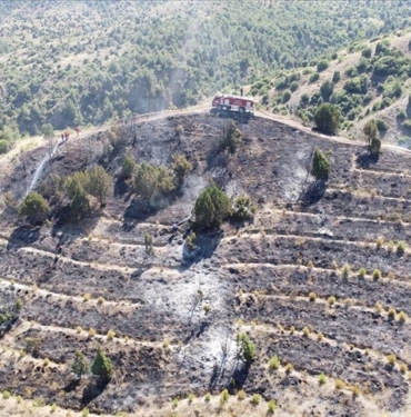 Bilecik039te-makilik-alanda-cikan-yangin-kontrol-altina-alindi.jpg