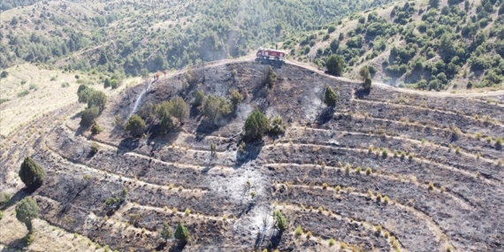 Bilecik'te makilik alanda çıkan yangın kontrol altına alındı