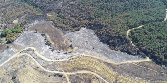 Çanakkale'deki orman yangını sonrası hayat normale dönmeye başladı