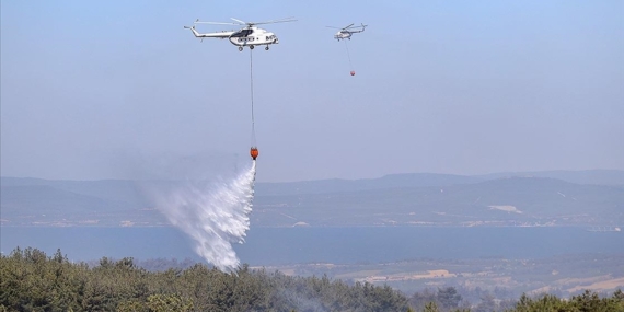 Çanakkale'deki orman yangınına havadan ve karadan müdahale sürüyor
