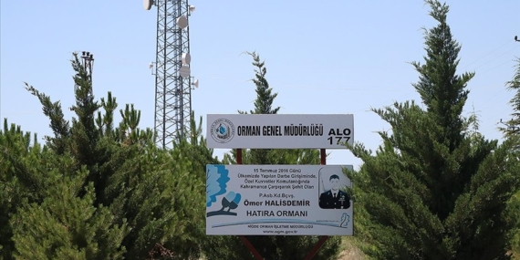 Orman Genel Müdürlüğü 15 Temmuz şehitlerinin anısını kurduğu ormanlarda yaşatıyor