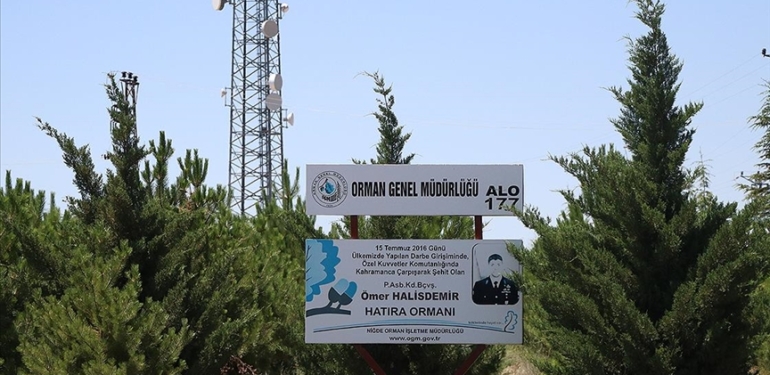 Orman-Genel-Mudurlugu-15-Temmuz-sehitlerinin-anisini-kurdugu-ormanlarda-yasatiyor.jpg