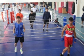 Yildiz-Erkek-Boks-Milli-Takimi-Avrupa039da-altin-madalya-pesinde.jpg