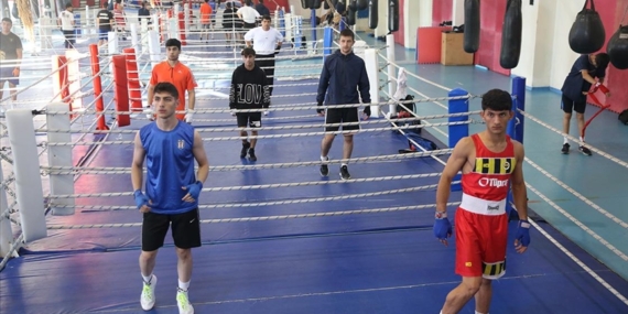 Yıldız Erkek Boks Milli Takımı Avrupa'da altın madalya peşinde