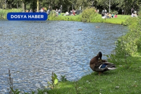 Amsterdam039in-quothic-uyumayanquot-parki-Vondelpark.jpg