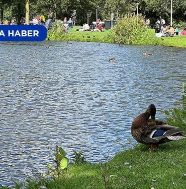 Amsterdam039in-quothic-uyumayanquot-parki-Vondelpark.jpg