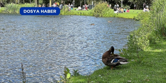 Amsterdam'ın "hiç uyumayan" parkı: Vondelpark