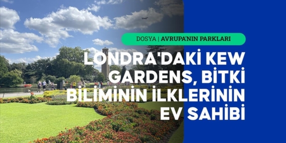 Londra'daki Kew Gardens, bitki biliminin "en"leri, ilkleri ve teklerine ev sahipliği yapıyor