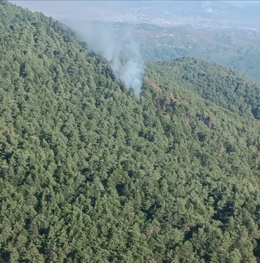 Hatay039da-cikan-orman-yangini-kontrol-altina-alindi.jpg