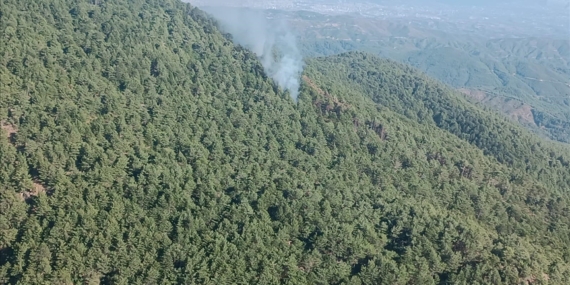 Hatay'da çıkan orman yangını kontrol altına alındı