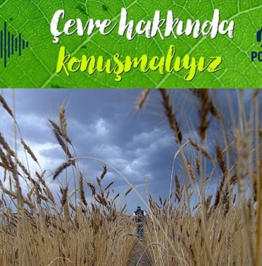 Tarim-sezonu-nasil-gecti-iklim-krizi-uretimi-nasil-etkiliyor.jpg