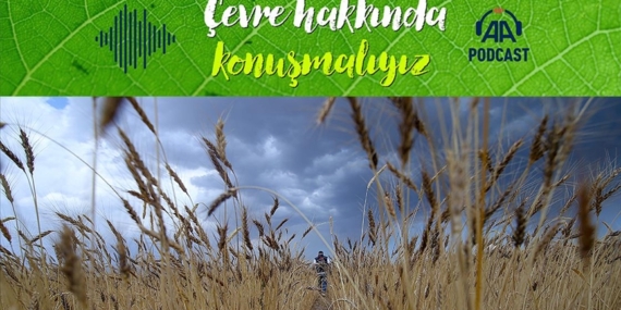 Tarım sezonu nasıl geçti, iklim krizi üretimi nasıl etkiliyor?