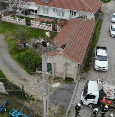Trakya039da-gocmen-kuslarin-akima-kapilmamasi-icin-elektrik-direklerine-ozel-platformlar.jpg