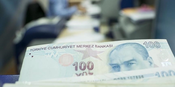 Kamu idareleri, nakit taleplerini Tek Hazine Kurumlar Hesabı Bilgi Sistemi'nden yapacak