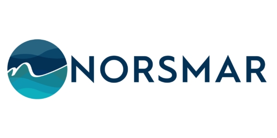 Norsmar: Maritime Excellence in Every Turkish Port and Shipyard