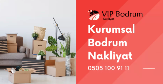 Bodrum Nakliyat Hizmetleri 2024 Yılında Da Sizlerle