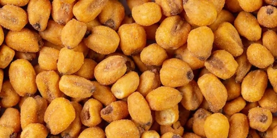 Soslu Mısır